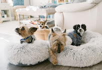 North Hollywood Cagefree Pet Boarding