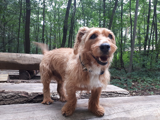 Jürgen Pötter & Eva Kirsch unter Hanover, Niedersachsen