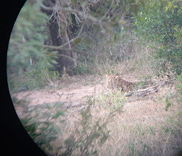Paul k Safaris photo