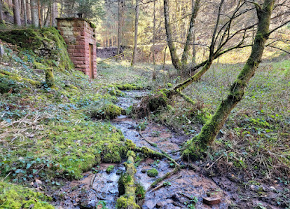 Vorderes Sattelbächlein - Esthal