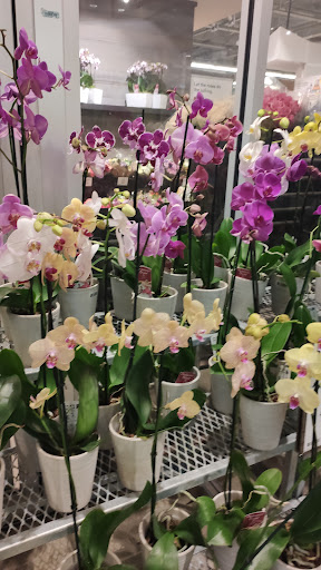 Grocery Store «Whole Foods Market», reviews and photos, 299 SE 3rd Ave, Miami, FL 33131, USA