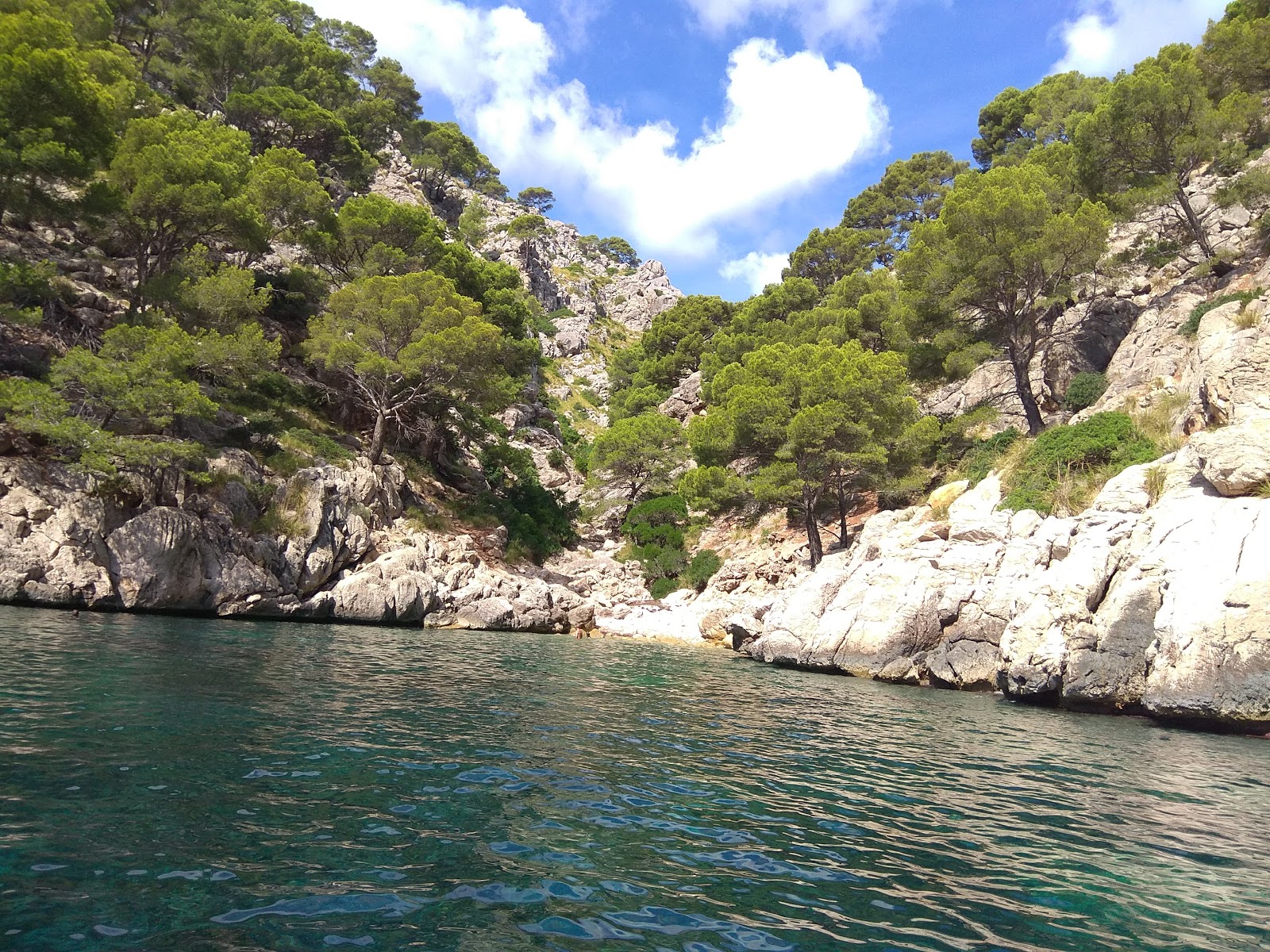 Photo of Cala en Gossalba with very clean level of cleanliness