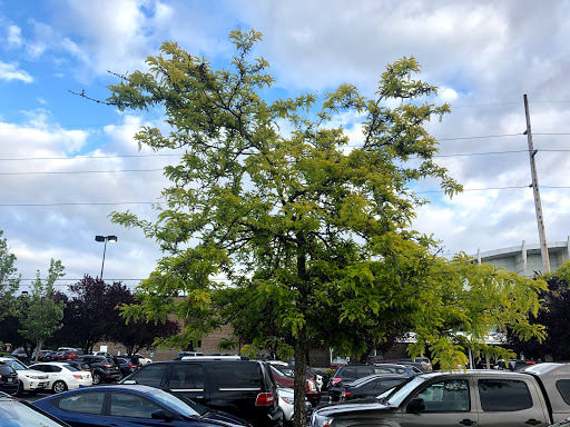 Movie Theater «Regal Cinemas Cascade 16 IMAX & RPX», reviews and photos, 1101 SE 160th Ave, Vancouver, WA 98683, USA