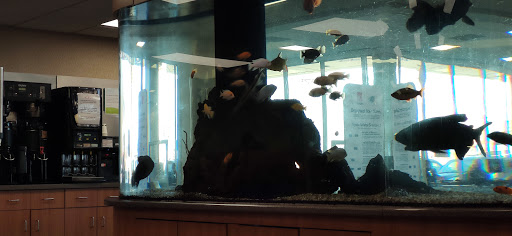 Toyota Dealer «Maplewood Toyota», reviews and photos, 2873 Maplewood Dr, Maplewood, MN 55109, USA