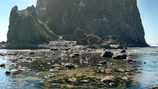 Tourist Attraction «Haystack Rock», reviews and photos, US-101, Cannon Beach, OR 97110, USA