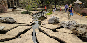 Lady Bird Johnson Wildflower Center