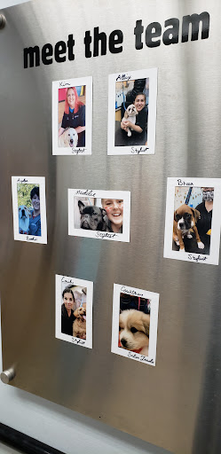 Pet Supply Store «PetSmart», reviews and photos, 215 N Burkhardt Rd, Evansville, IN 47715, USA