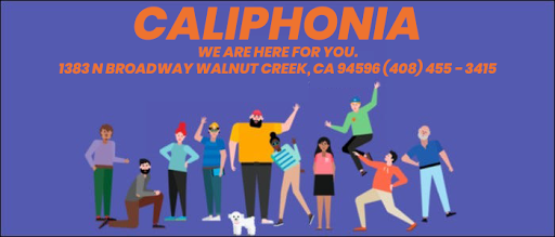 CaliPhonia Phone, Computer Repair & Data Recovery image