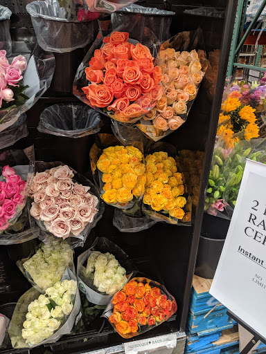 Warehouse store «Costco Wholesale», reviews and photos, 10701 Sudley Manor Dr, Manassas, VA 20109, USA