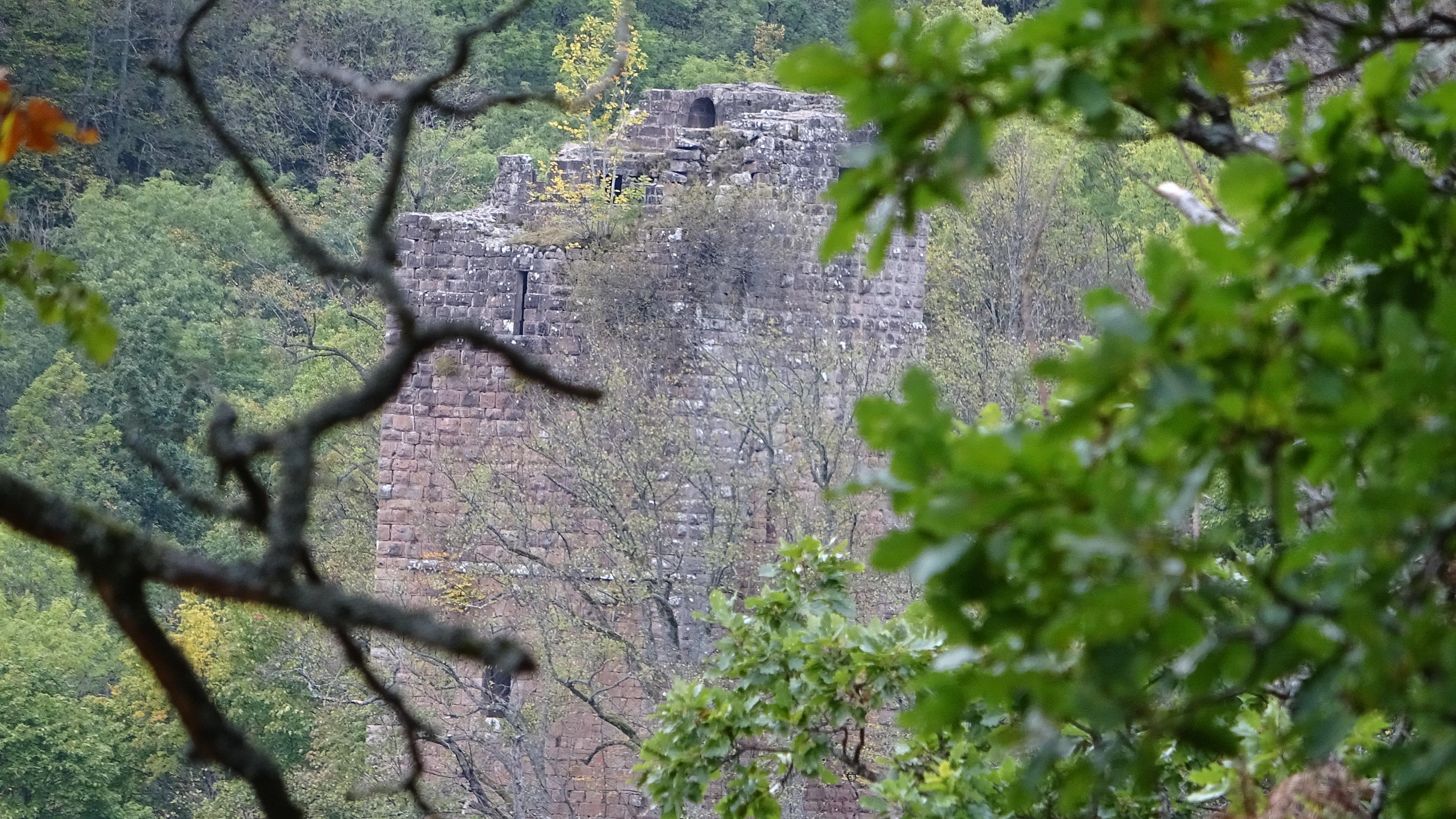 Photo n° 2 de l'avis de Marc.A fait le 31/08/2021 à 11:07