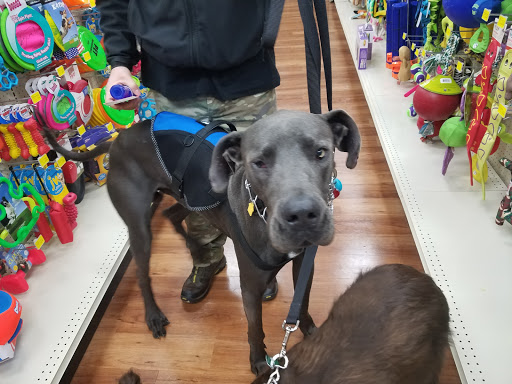 Pet Supply Store «Pet Supermarket», reviews and photos, 2090 E Arapaho Rd, Richardson, TX 75081, USA