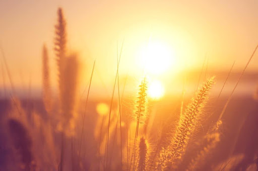 EcoTec Insulation Ltd