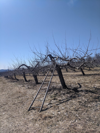 Winery «Furnace Brook Winery», reviews and photos, 508 Canaan Rd, Richmond, MA 01254, USA