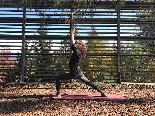 Dominique Iseppi Yoga Classes & Retreats