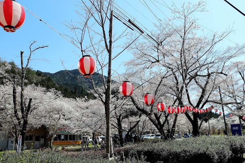 寺尾ヶ原千本桜公園