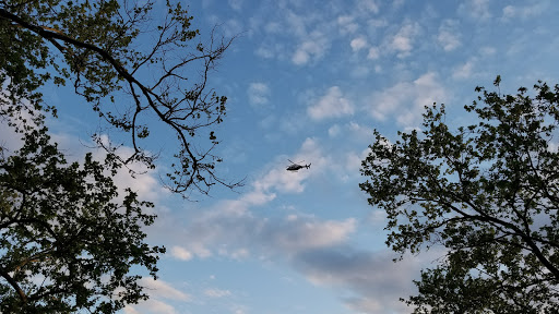 Park «Virginia Park», reviews and photos, 1878 Cross Bronx Expy, Bronx, NY 10472, USA