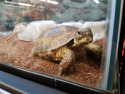 Pet Supply Store «Petco Animal Supplies», reviews and photos, 10 Sylvan St, Peabody, MA 01960, USA