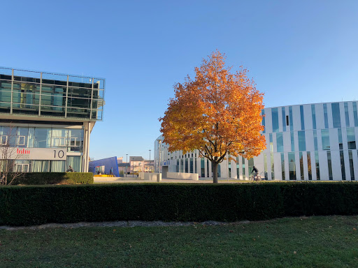 Stuttgart Media University