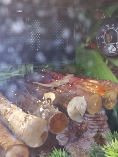 Pet Supply Store «PetSmart», reviews and photos, 476 Corwin Nixon Blvd, South Lebanon, OH 45065, USA