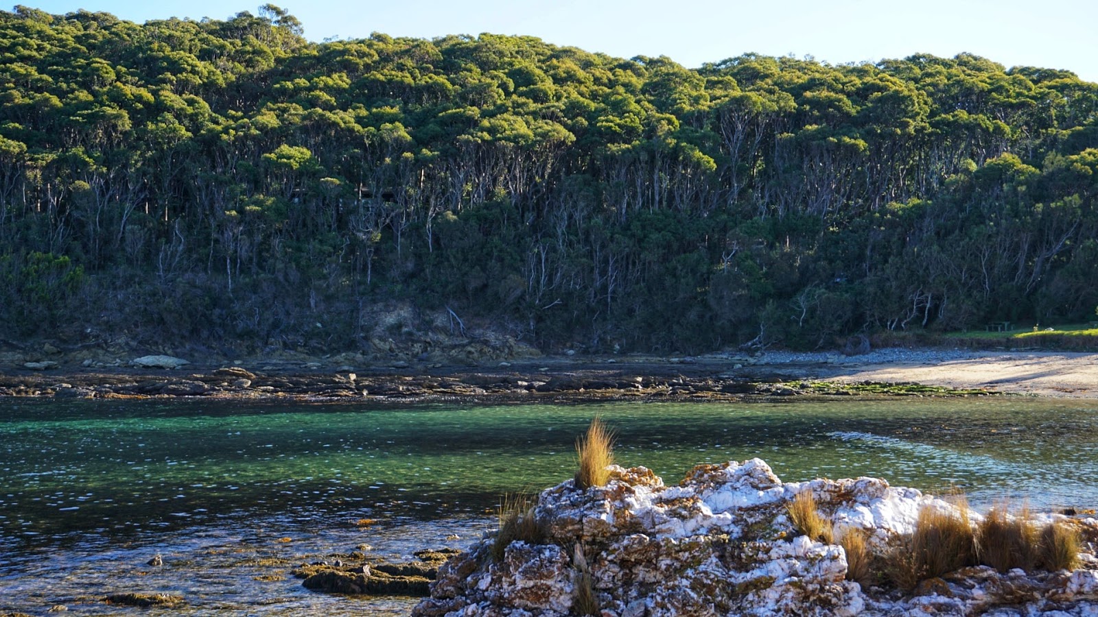 Guerilla Small Beach photo #8