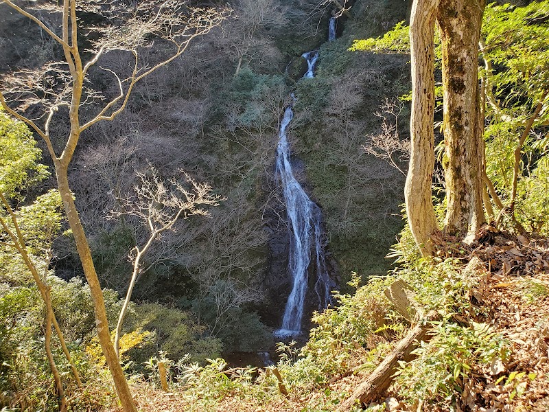 味土野ガラシャ大滝