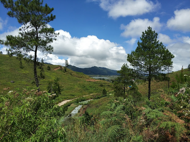 Bukit Cambai