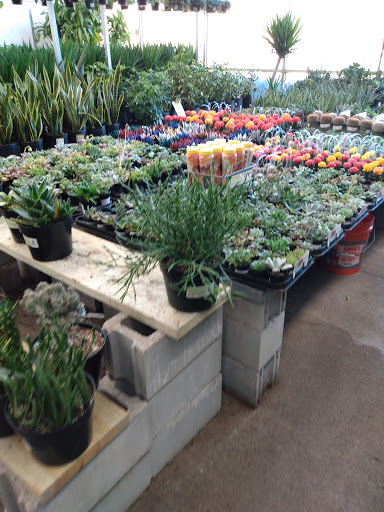 Home Improvement Store «The Home Depot», reviews and photos, 1837 Matthews Township Pkwy, Matthews, NC 28105, USA