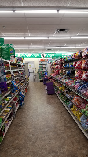 Dollar Store «Dollar Tree», reviews and photos, 13932 Manchester Rd, Ballwin, MO 63011, USA