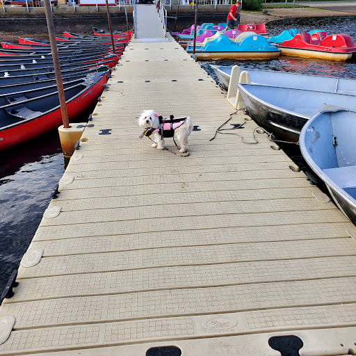 State Park «Hopkinton State Park», reviews and photos, 164 Cedar St, Hopkinton, MA 01748, USA