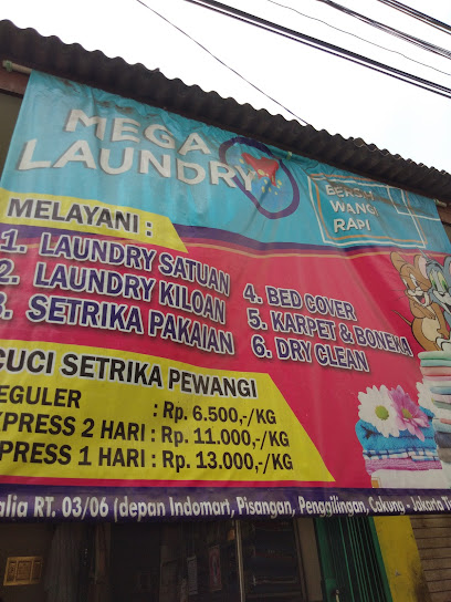 Mega Laundry