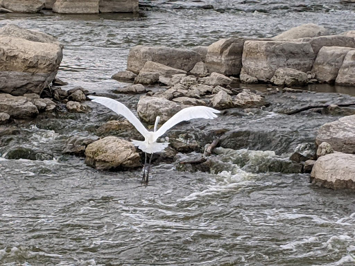 Park «Bicentennial Riverfront Park», reviews and photos, 301 E Hydraulic St, Yorkville, IL 60560, USA