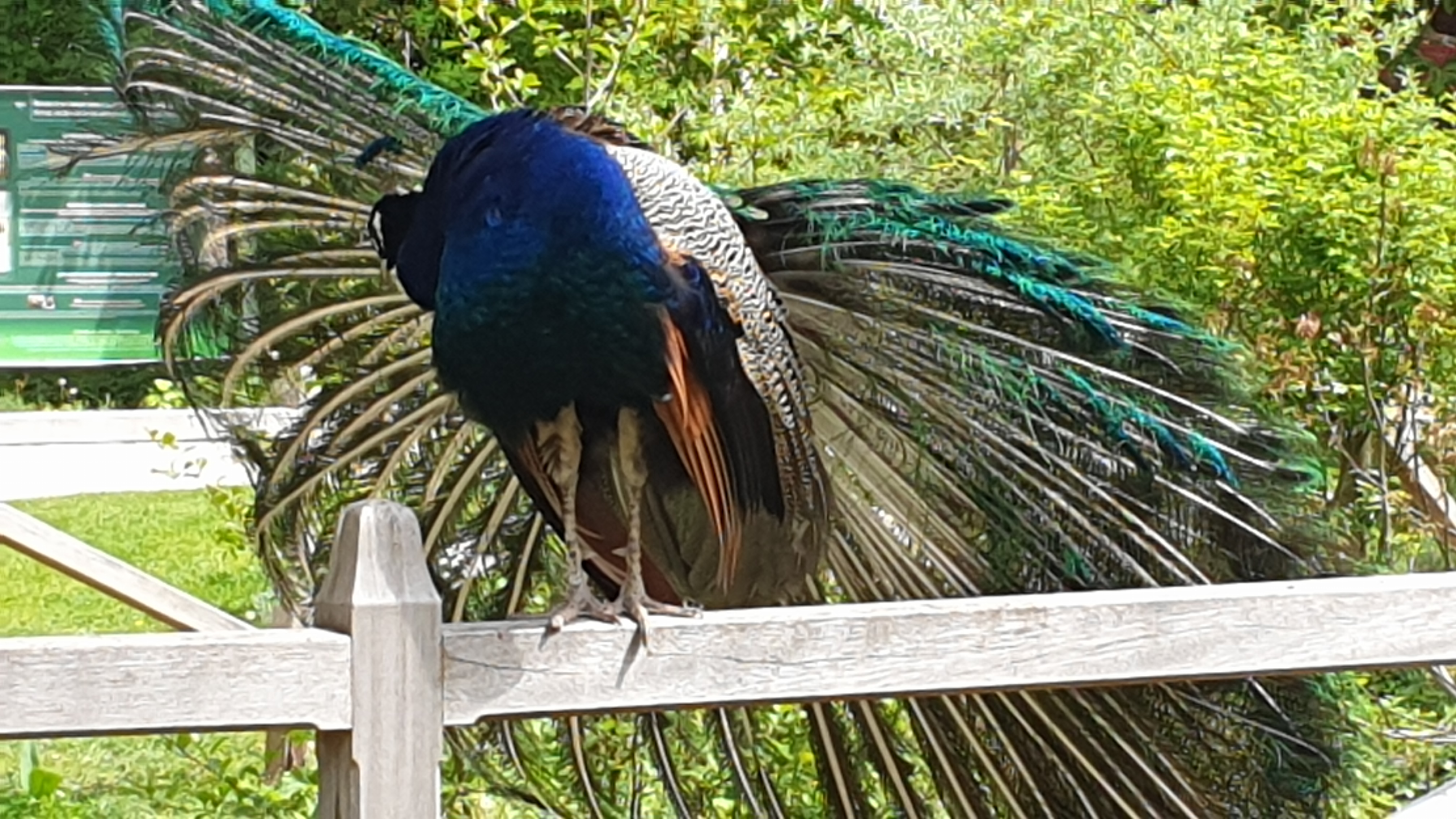 Photo n° 3 de l'avis de Sandrine.O fait le 05/05/2023 à 08:50