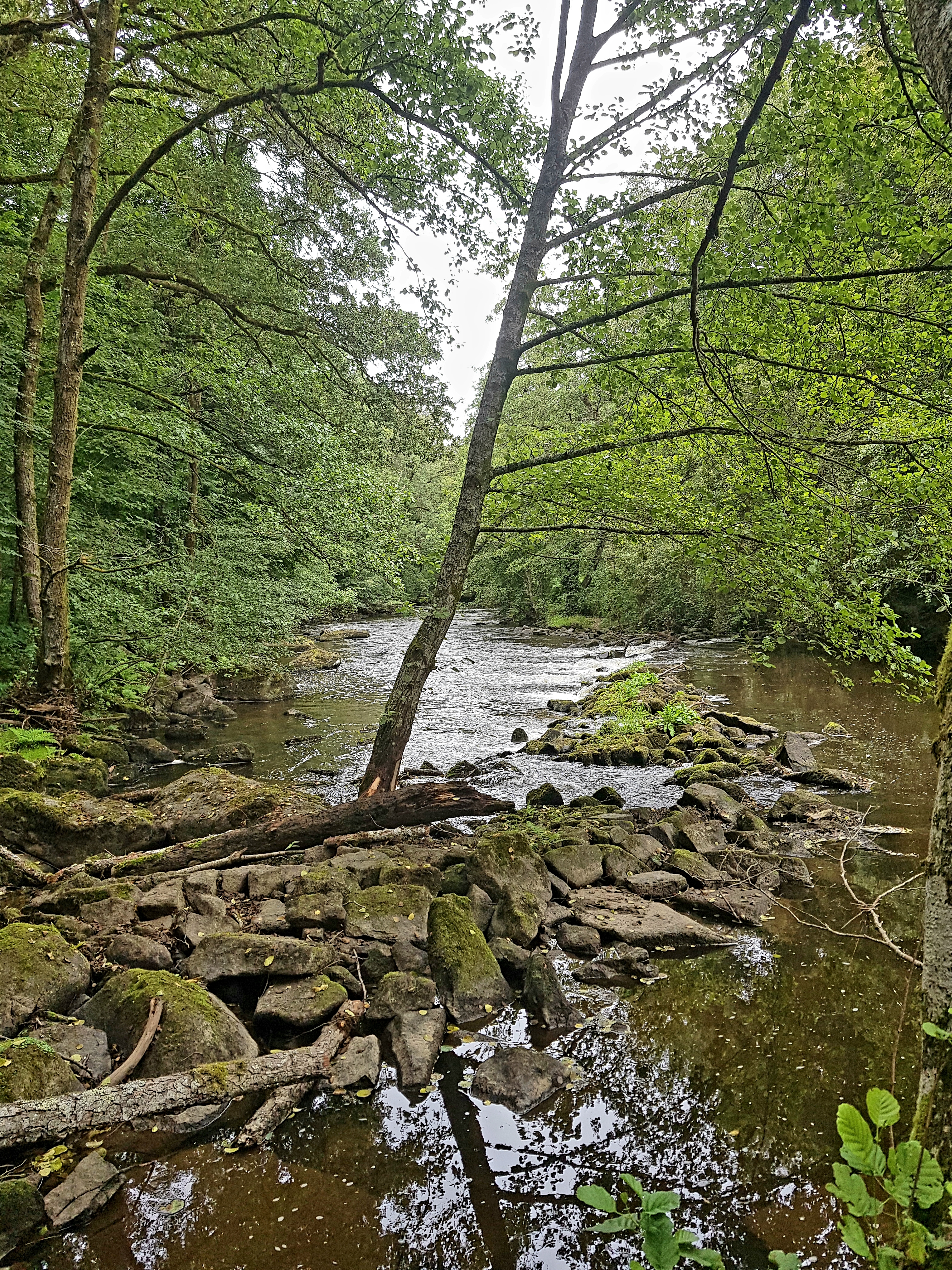 Photo n° 2 de l'avis de le.u fait le 25/08/2021 à 18:57