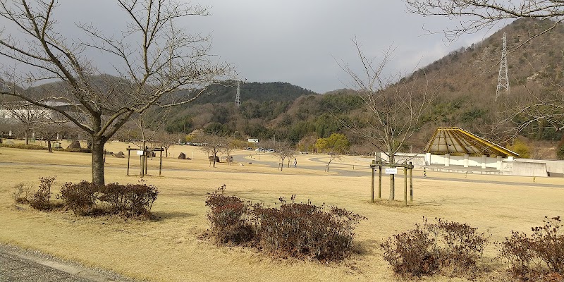 ピースリーホームバンブー総合公園体育館 広島県竹原市高崎町 体操競技場 グルコミ