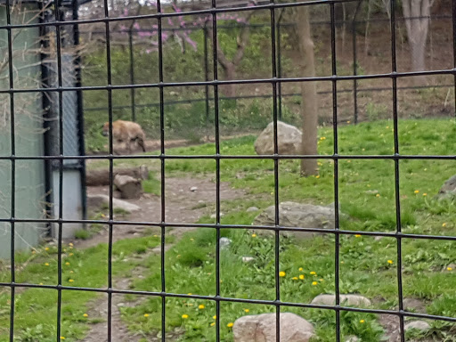 Park «Franklin Park», reviews and photos, 1 Franklin Park Rd, Boston, MA 02121, USA