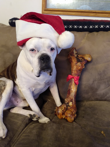 Pet Supply Store «Petco Animal Supplies», reviews and photos, 3380 124th Ave NW, Coon Rapids, MN 55433, USA