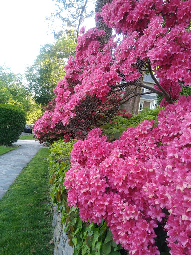 Park «Van Cortlandt Park», reviews and photos, Broadway and Vancortlandt Park S, Bronx, NY 10462, USA