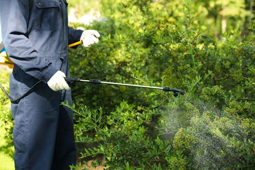 Cura Termite and Pest Control image