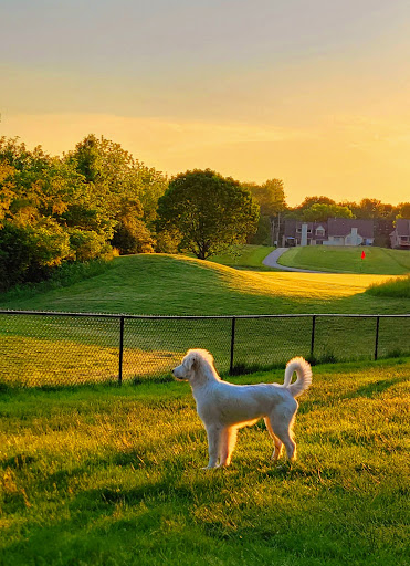 Golf Course «Teetering Rocks Golf Course», reviews and photos, 12040 E 86th St, Kansas City, MO 64138, USA