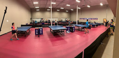 Paddle Palace Table Tennis