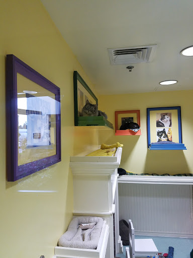 Animal Shelter «Oregon Humane Society», reviews and photos