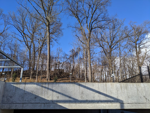 Community Center «Roger Carter Community Center», reviews and photos, 3000 Milltowne Dr, Ellicott City, MD 21043, USA