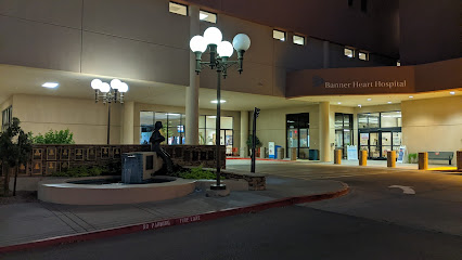 Banner Heart Hospital