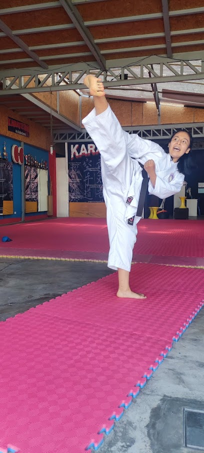 Karate Bukizendo