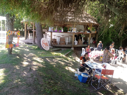 Campamentos de verano infantiles en Buenos Aires