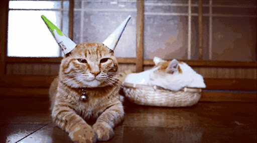 Pet Supply Store «Healthy Pet Products», reviews and photos, 3043 Washington Rd, McMurray, PA 15317, USA