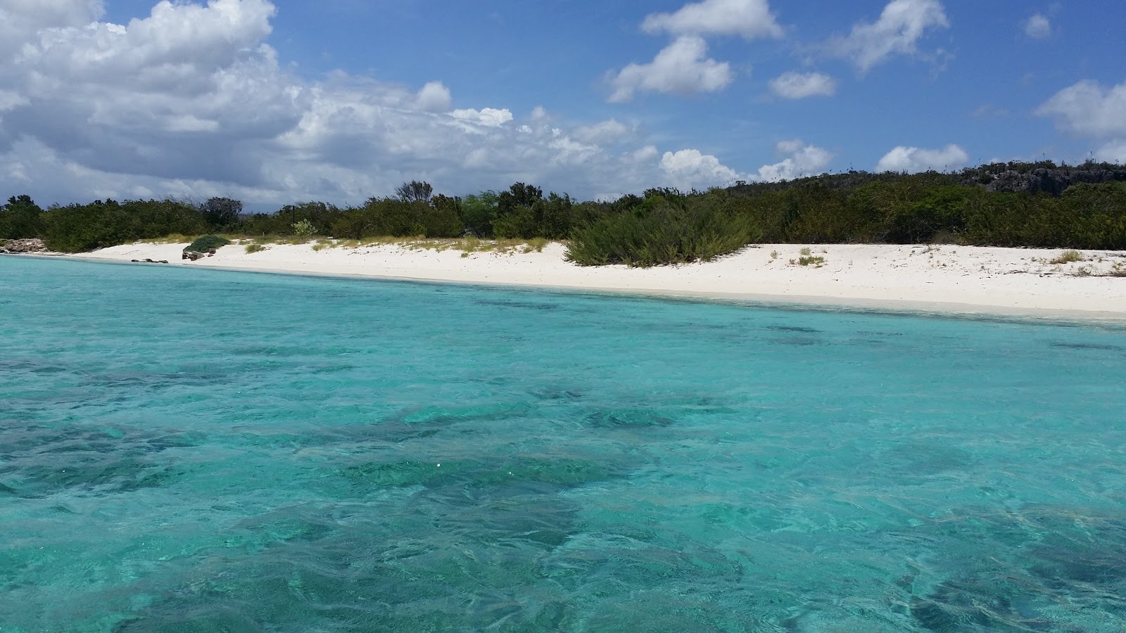 Eagles Bay beach photo #7