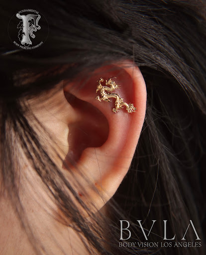 Explore parrot tattoo ideas, creative tattoo ideas in Chicago, available at Fundamental Body Piercing