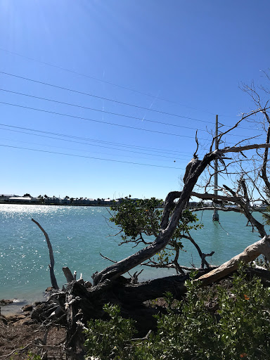 Park «Holcombe Rucker Park», reviews and photos, 280 W 155th St, New York, NY 10039, USA
