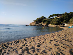 Foto di Spiaggia Cala Bona con molto pulita livello di pulizia